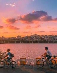 白晶晶果冻传媒资料-探索白晶晶果冻传媒的多元魅力，从创意到实践的精彩旅程