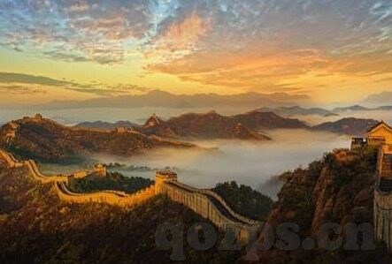 大象传媒官网1000-探索大象传媒官网的深度与广度，一个创意与信息交汇的数字平台