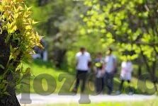 国产成人av视频-国产成人AV视频，文化现象与影响