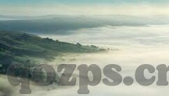 麻豆91网-麻豆91网，网络摄影社区的审视