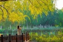 麻豆成人av在线-数字时代的隐秘角落，网络XX视频的迷思与思考