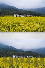 麻豆传媒线上-深入观察，麻豆传媒在线平台的时代景象与影响