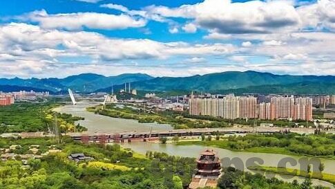 麻豆免费app下载-麻豆，免费下载的魅力与谨慎