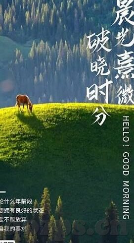 麻豆视频app官网-麻豆视频，一站式娱乐的沉浸式体验
