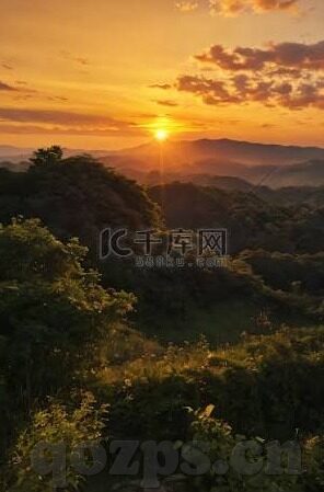 青青草成人视频-青青草，成人视频的背后与思考