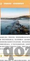 人妻aⅴ中文字幕无码-人妻题材的影视作品，文化、伦理与艺术探讨