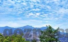 糖心app干嘛的-理解糖心app的真正功能和用途，我们可以从用户的角度和生活应用场景出发进行阐述